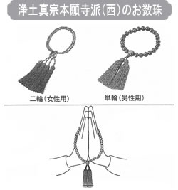 ��y�^�@�{�莛�h�i���j�̂�����